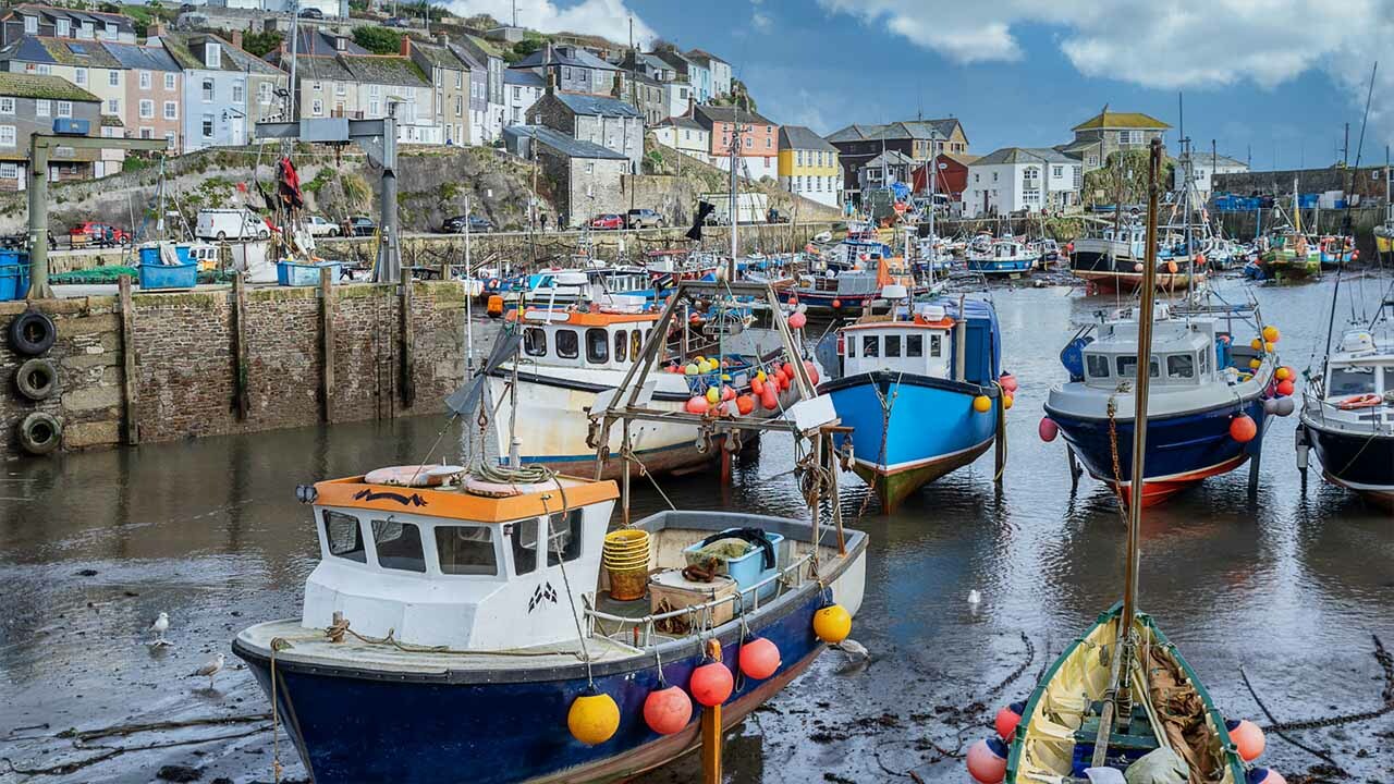 Waitrose - Multi-Language Dubbing - Audiobook